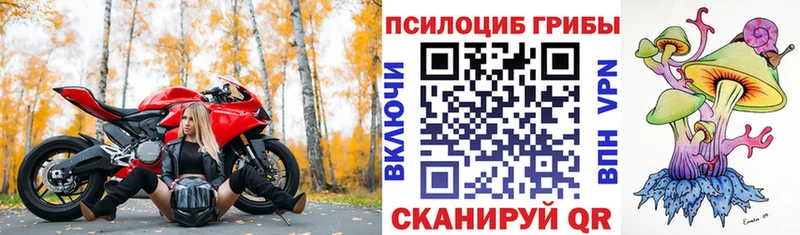Псилоцибиновые грибы MAGIC MUSHROOMS Купить закладки Гаджиево