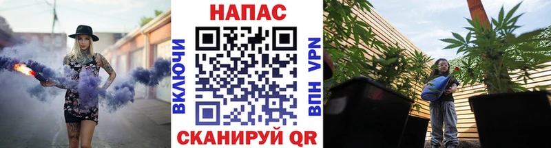 Конопля конопля  Купить закладки  Гаджиево 